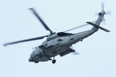 E-2D ﾎｰｸｱｲ 2-17.9.15 02-2