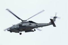 E-2D ﾎｰｸｱｲ 1