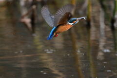 ミニサイズゲット2