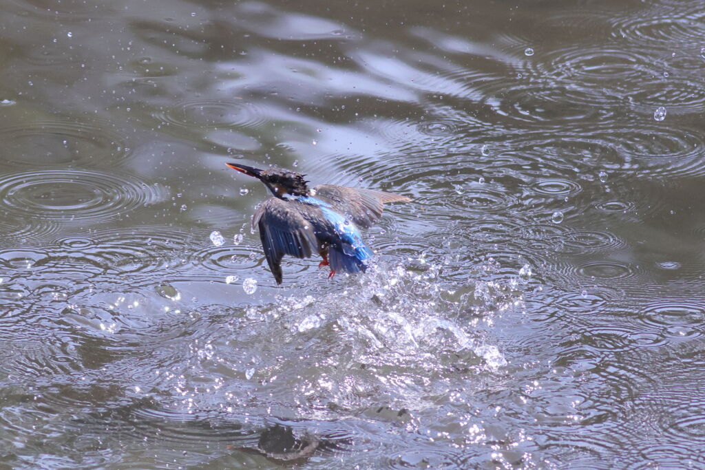 水浴び