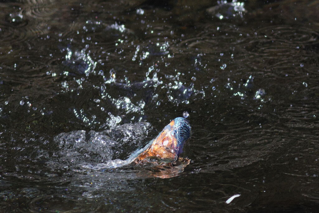 久しぶり？？？