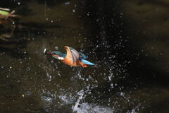 小さいのゲット3