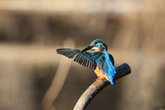 綺麗になったかな？