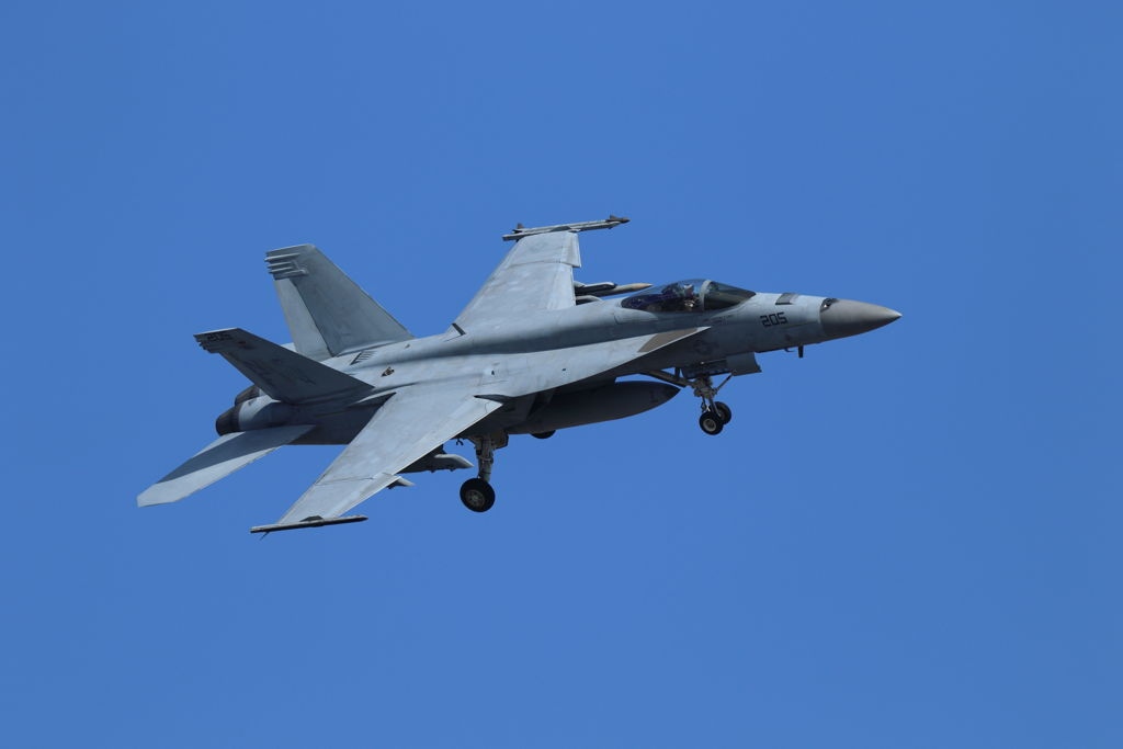 NF 205-2