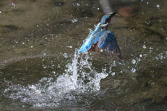 あっち向いてホイ2