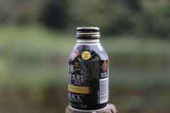 EF50mmF1.8Ⅱ試写