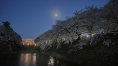 DP0Q0765