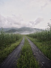 尾瀬