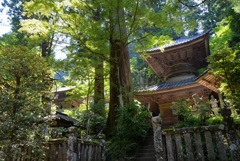 神社仏閣