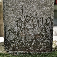 草
