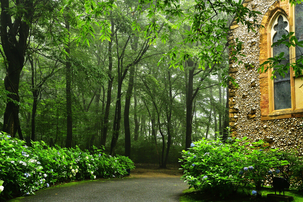 私の好きな場所