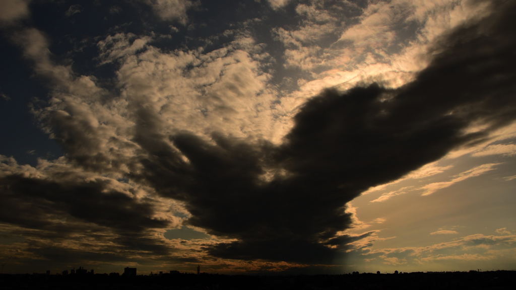 ある日の夕方４　怒