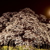 吉高の大櫻にそえる月