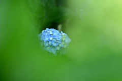 覗く