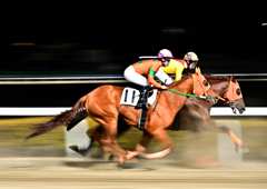 初めての競馬