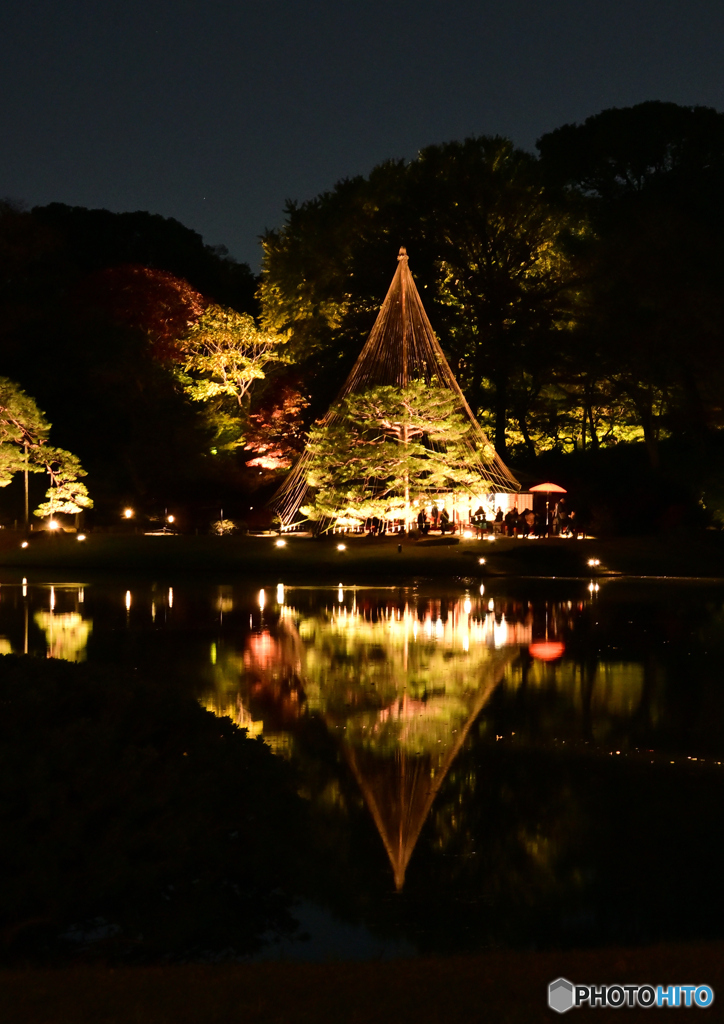 夜に輝く