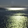 光海
