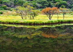 霧のない覚満渕