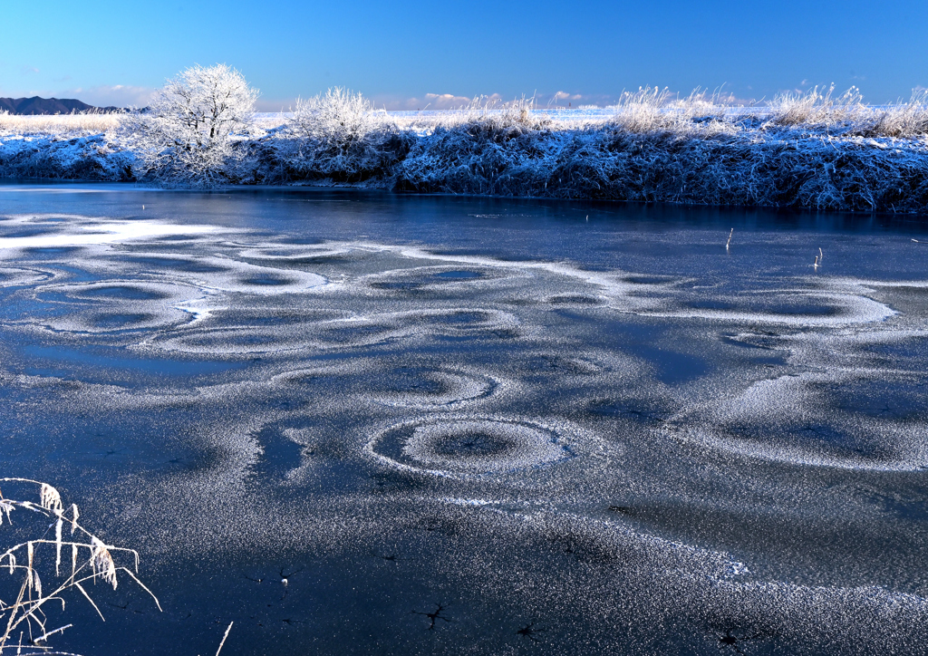 雪の紋