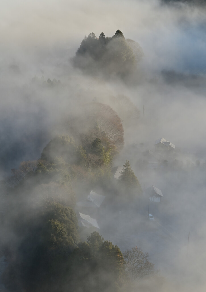 霧湧く