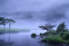 霧の朝