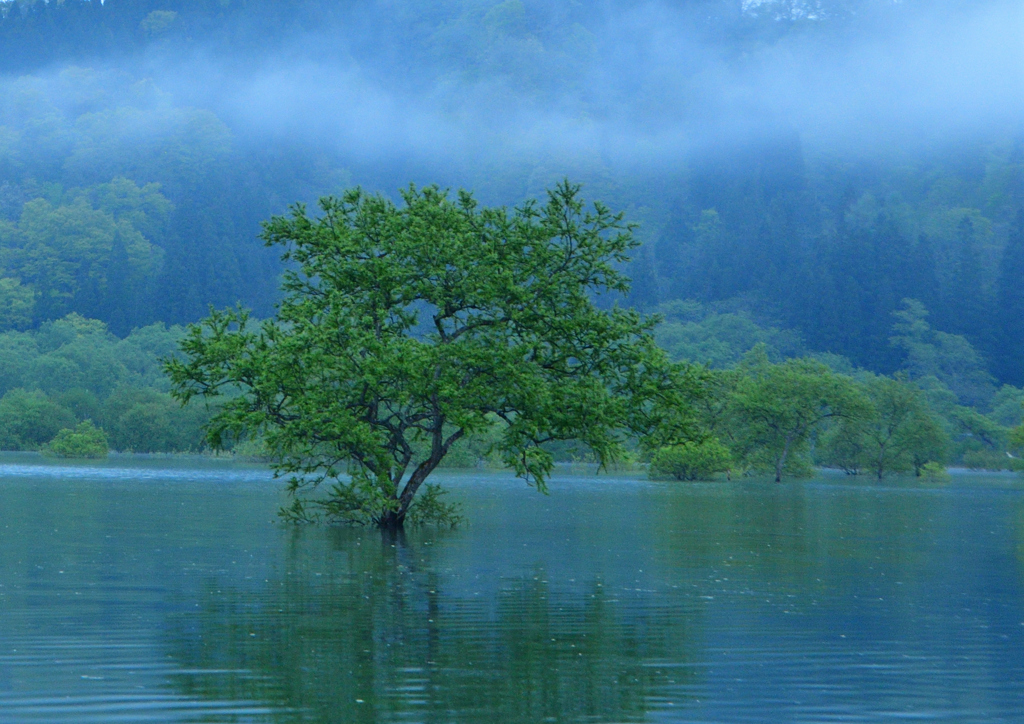 湖の象徴