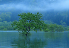 湖の象徴