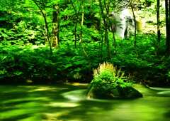 緑の流れ