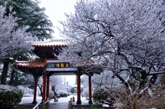 静かにひっそりと