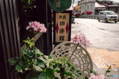 高山　雨の後