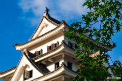 郡上八幡城