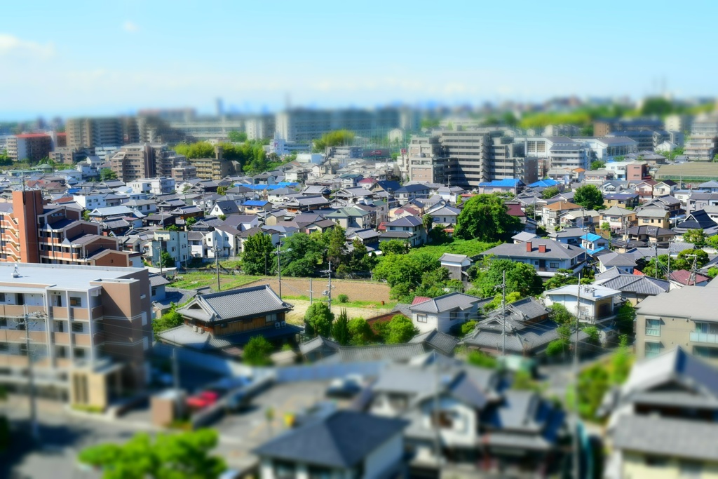 ミニチュア