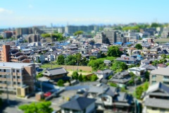 ミニチュア