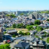 ミニチュア