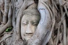 Ayutthaya