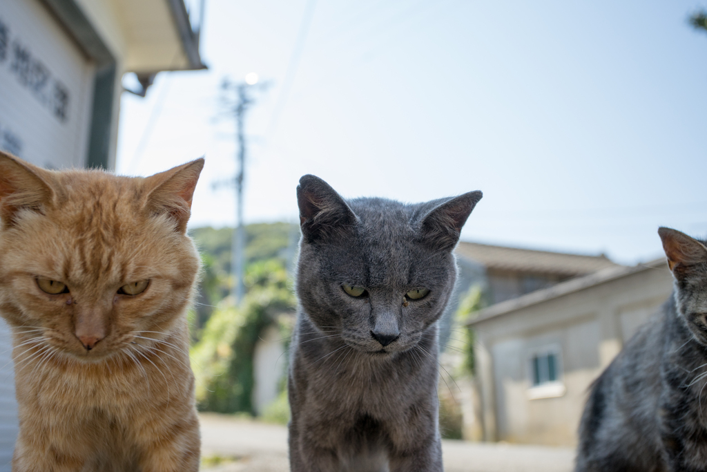 関所