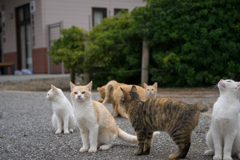 ミーティング