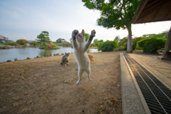 バンザイ