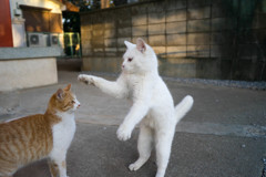 おすわり！