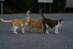 ３両編成