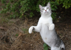 ん？