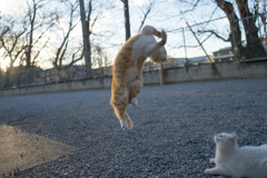 三日月ジャンプ