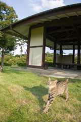 ようこそ