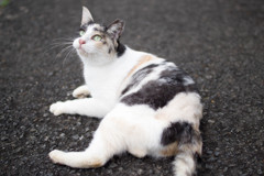 そろそろ動くか