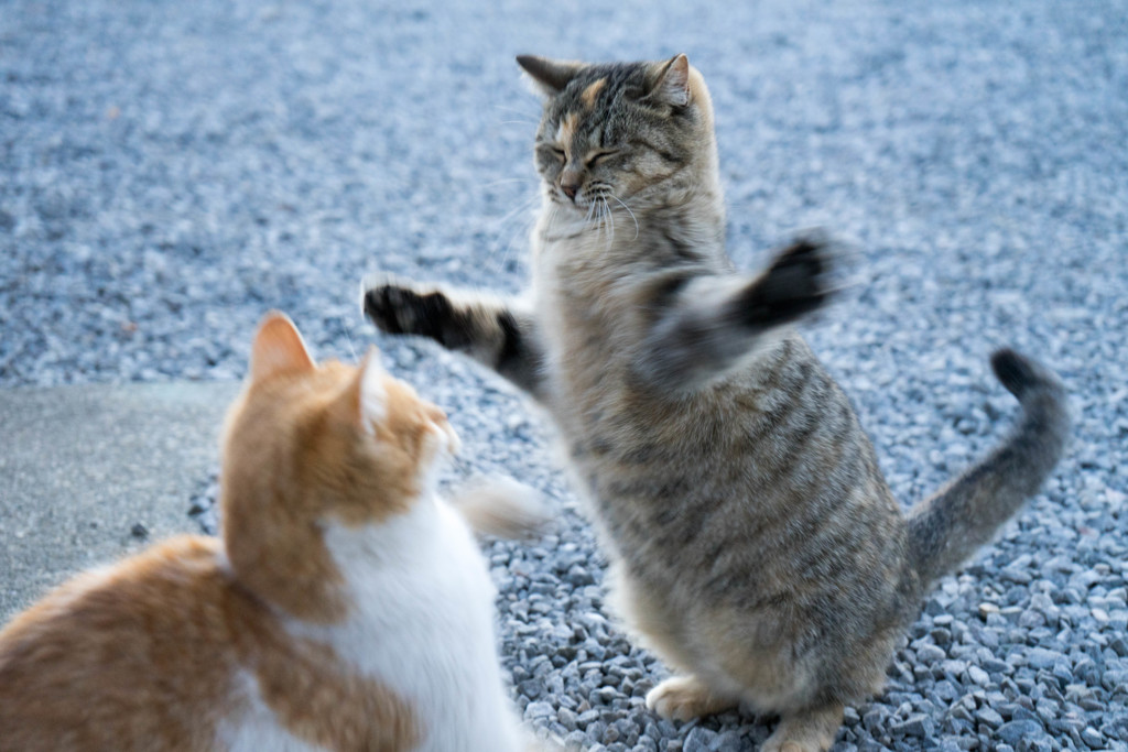 パンチ2