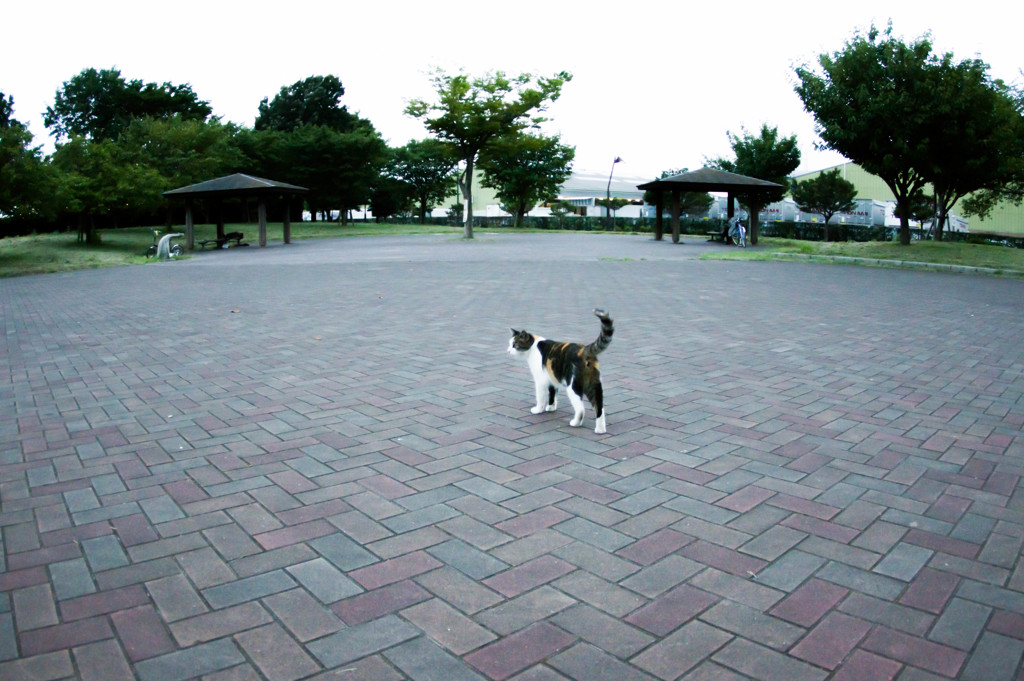 夕方の閑散