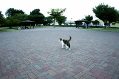 夕方の閑散