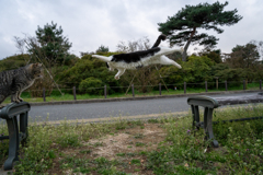 滑空飛行