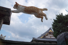 オラのじゃんぷを見てくれ