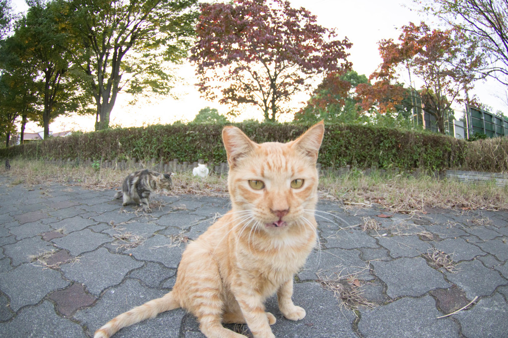 満腹